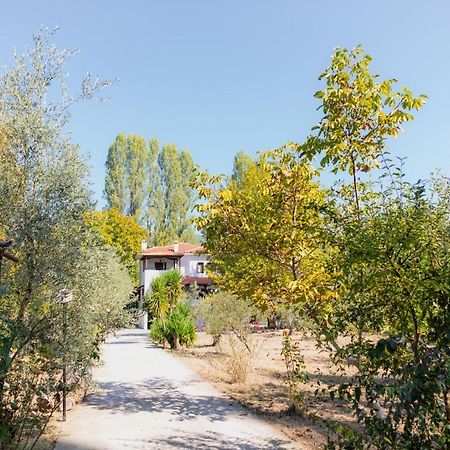 Diamond Farm Villa بلاك كالا المظهر الخارجي الصورة