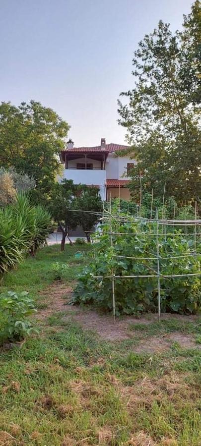 Diamond Farm Villa بلاك كالا المظهر الخارجي الصورة