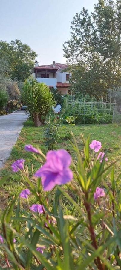 Diamond Farm Villa بلاك كالا المظهر الخارجي الصورة