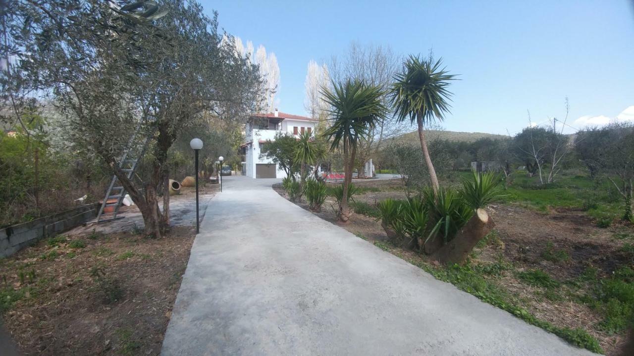 Diamond Farm Villa بلاك كالا المظهر الخارجي الصورة