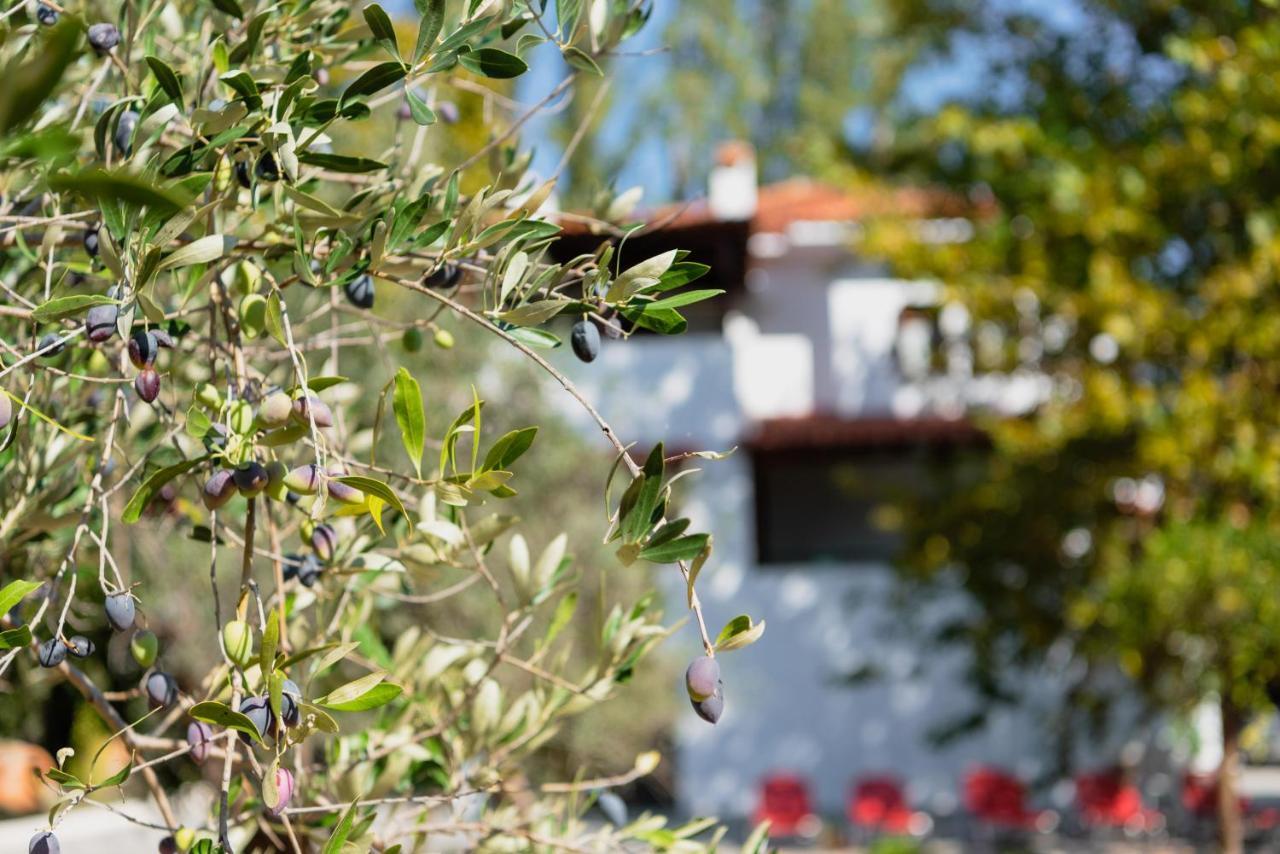 Diamond Farm Villa بلاك كالا المظهر الخارجي الصورة